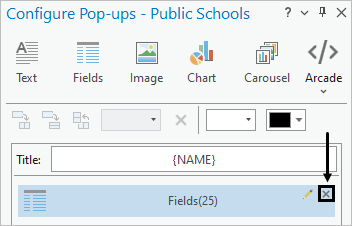 Schaltfläche "Pop-up-Element entfernen" für das Element "Felder" im Bereich "Pop-ups konfigurieren"