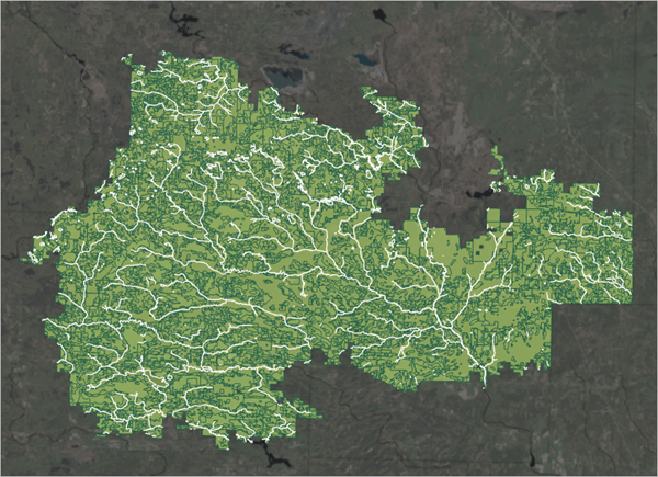 Karte der Waldbestand-Polygone und Flussläufe
