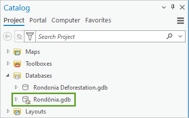 "Rondonia.gdb" wurde als Standard-Geodatabase festgelegt.