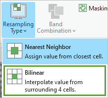 Wählen Sie die Resampling-Methode "Bilinear" aus.