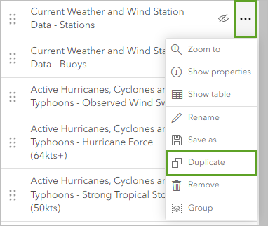 Option "Layer duplizieren"