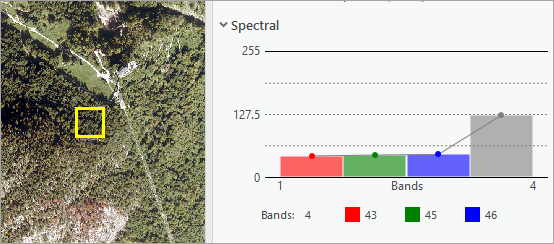 Details der Bänder für Wald