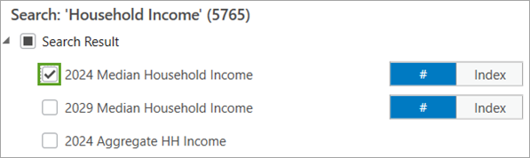 Variable "2024 Median Household Income"