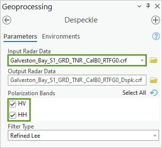 Parameter des Werkzeugs "Despeckle"