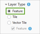 Parameter "Layer-Typ" mit ausgewählter Option "Feature"