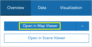 Option "In Map Viewer öffnen"