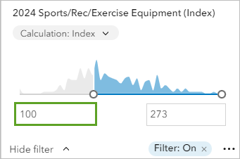 Unterer Bereich für die Variable "2024 Sports/Rec/Exercise Equipment (Index)" festgelegt auf 100