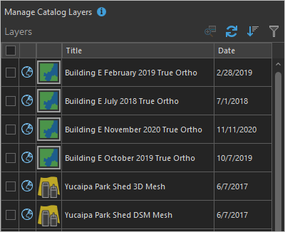 Abschnitt "Katalog-Layer verwalten" im Bereich "Katalog-Dataset"