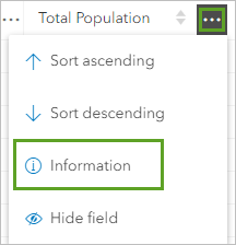 "Informationen" im Menü "Optionen" für das Feld "Gesamtbevölkerung"