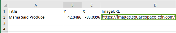 ImageURL entered on the Excel document