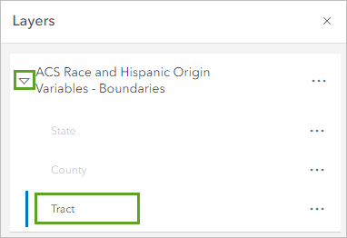ACS Race and Hispanic Origin Variables - Boundaries group layer expanded and the Tract layer selected on the Layers pane
