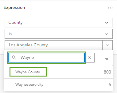 Wayne County in the search results when building the expression in the Filter pane
