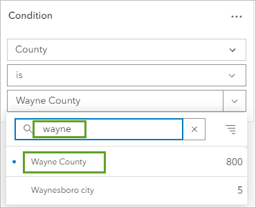 Wayne County in the search results when building the expression in the Filter pane