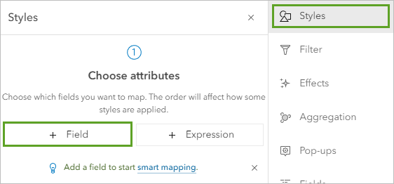 Field button on the Styles pane