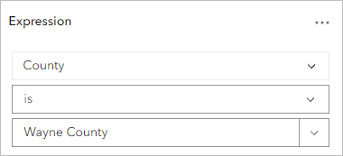 Expression County is Wayne County is configured in the Filter pane