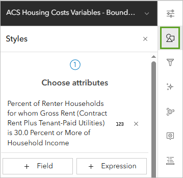 Styles button on the Settings toolbar