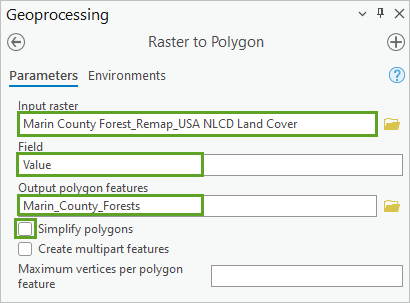 Raster to Polygon parameters