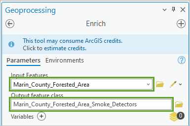 Input and output parameters for the Enrich tool