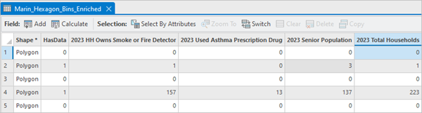 Attribute table with hidden fields