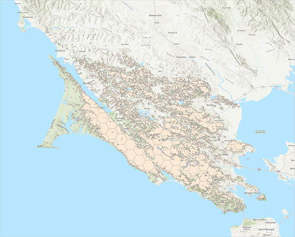 Marin County forested area with hexagon bins