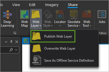 Publish Web Layer option