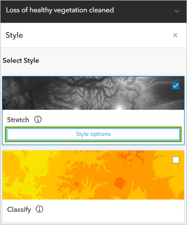 Style options button