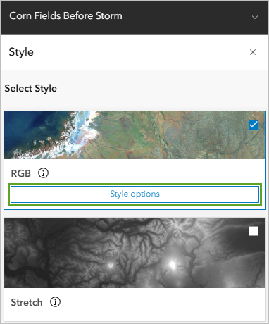 Style options button