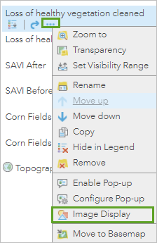 Image Display menu option