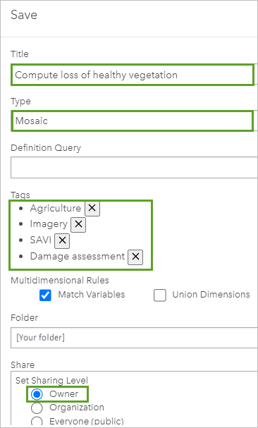 Save window for the raster function template