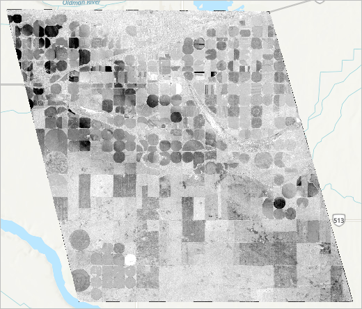 Loss of healthy vegetation raster