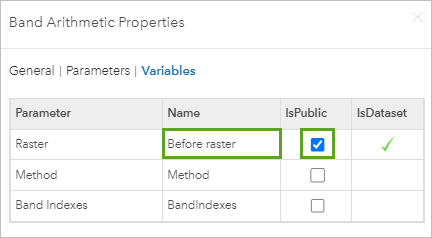 Raster variable