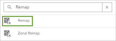 Search for the Remap raster function.