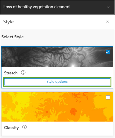 Style options button