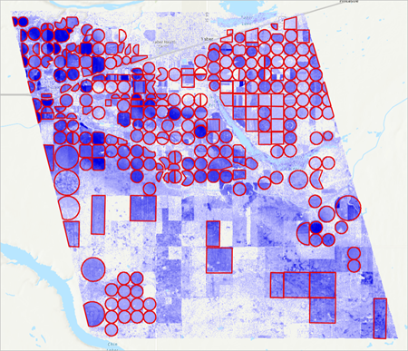 Field boundaries on the map, symbolized in red