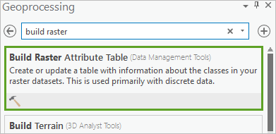 Build Raster Attribute Table tool