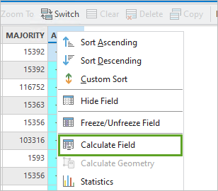 Calculate Field