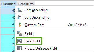 Hide Field