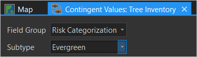 Field group set to Risk Categorization and Subtype set to Evergreen in the contingent values view