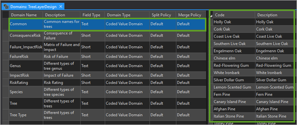 Domains view showing the Common domain Code and Description values