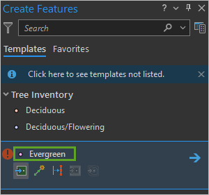 Select Evergreen feature template