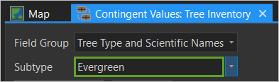 Subtype set to Evergreen