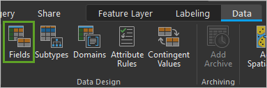 Fields button in the Data Design group on the Data tab