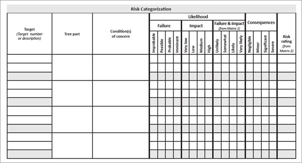 A blank Risk Assessment Form from the ISA