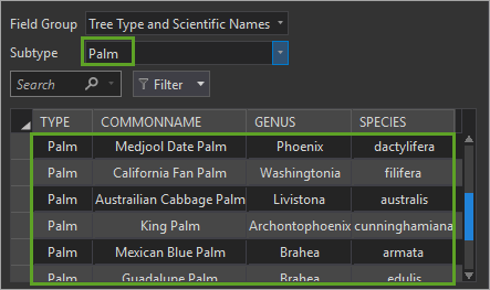 Subtype set to Palm in the contingent values view