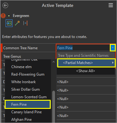 Common Tree Name set to Fern Pine.