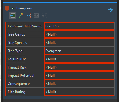 Feature template for Evergreen with attributes that are currently invalid in red.