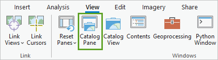 Catalog Pane button on the ribbon