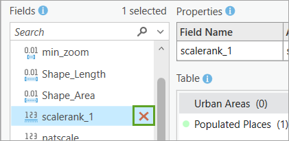 Remove button on the scalerank_1 field