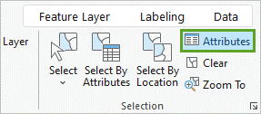Attributes button on the ribbon