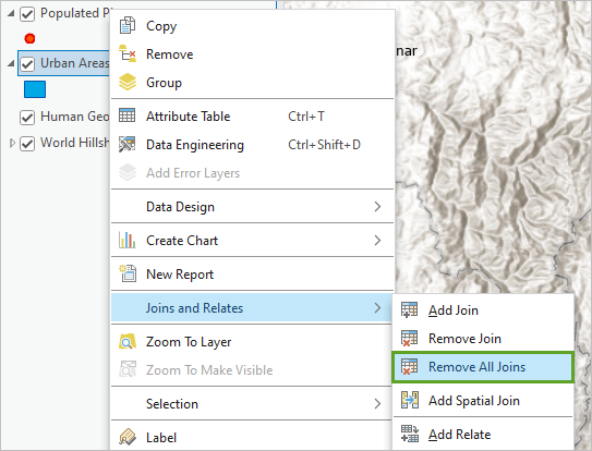 Remove All Joins options in the layer context menu
